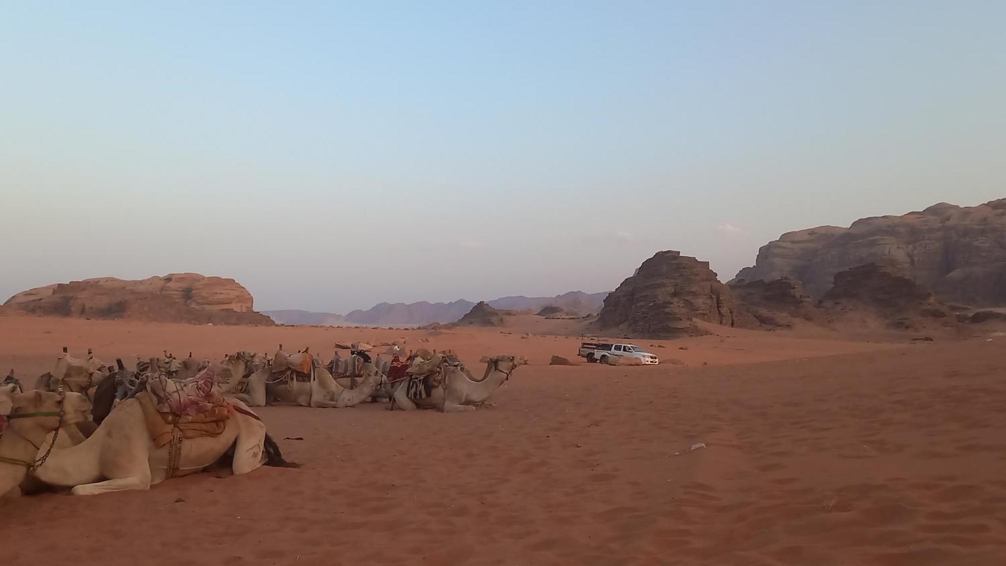 Hotel غرووب وادي رم Esterno foto
